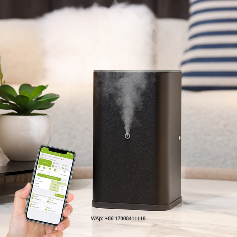 GB-800 Large Mist Spray WiFi D - Nebulizer Machine 评论和价格